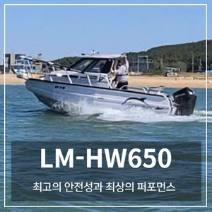 LM-HW650